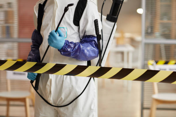 Professional Sewage Cleanup technician working in Greeley, NE